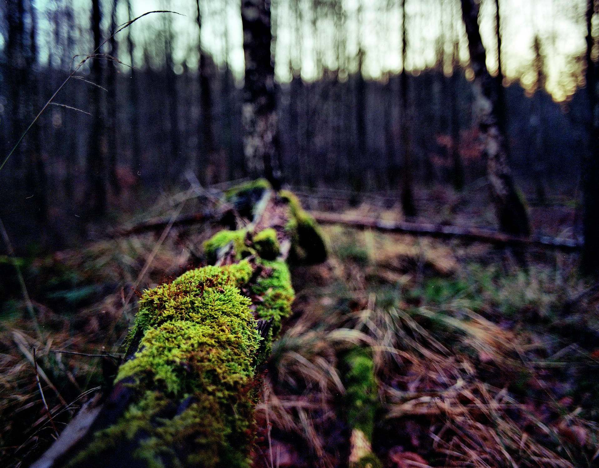 2018 01 18 Pentax 6x7  07